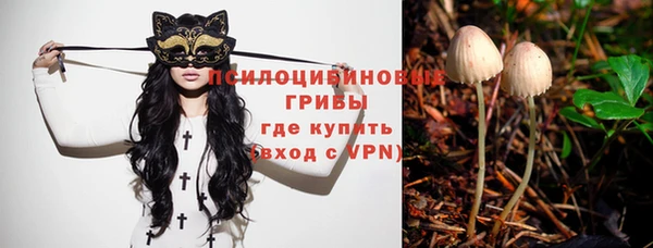 спиды Осташков