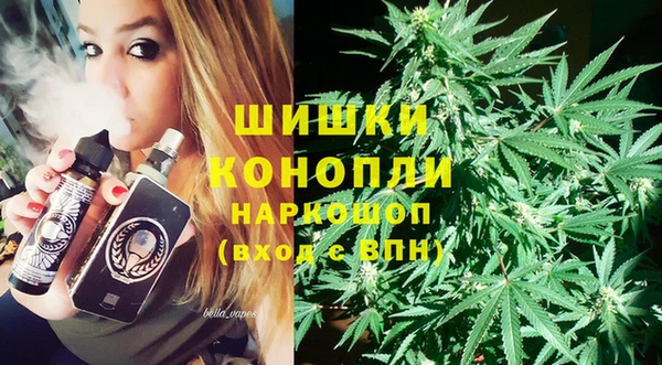 амф Арсеньев