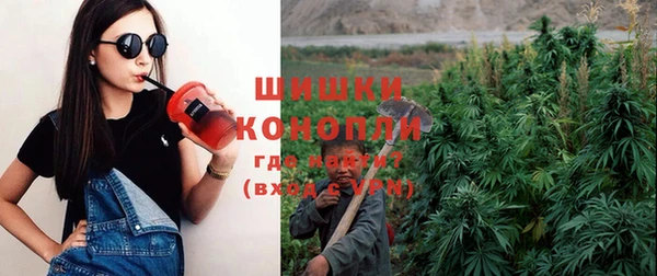 амф Арсеньев