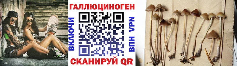 Галлюциногенные грибы Magic Shrooms  Новоржев 